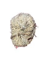 Load image into Gallery viewer, Rose of Jericho - Aura Boutiqk